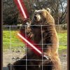 bear-with-lightsabers
