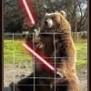 bear-with-lightsabers