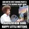 bernie-bob-ross