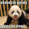 breakdancing-panda