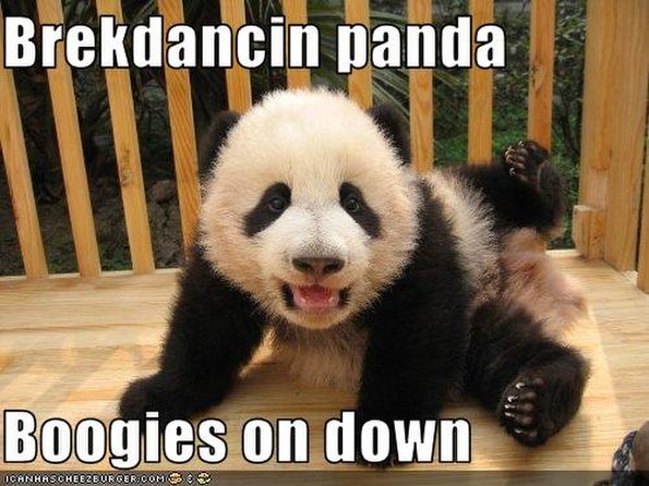 breakdancing-panda