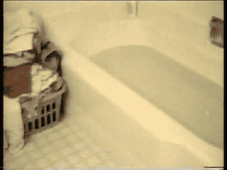 cat-doesnt-like-water