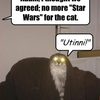 cat-watches-star-wars