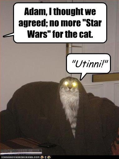 cat-watches-star-wars