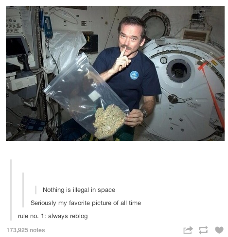 chris-hadfield-nothing-is-illegal-in-space