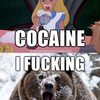 cocaine-alice-bear