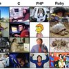 coding-laguages-viewed-by-fanboys