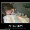 demotivational-affection