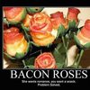 demotivational-bacon-roses