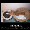 demotivational-osmosis