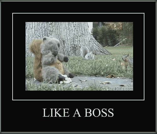 demotivational-squirrel-like-a-boss