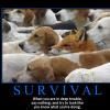 demotivational-survival