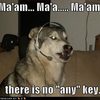 dog-find-the-any-key