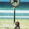 dog_disguised_on_beach