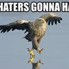 eagles-gonna-hate