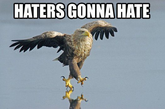 eagles-gonna-hate