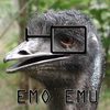 emo-emu