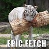 epic-fetch
