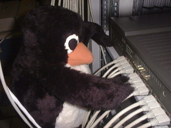 evil-penguin-rewires-the-net