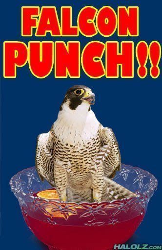 falcon-punch-bowl