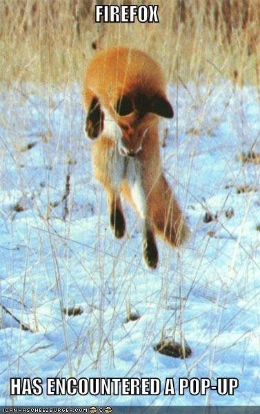 firefox-has-encountered-a-pop-up