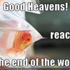 fish-reaches-end-of-world