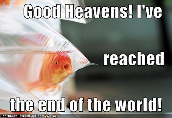 fish-reaches-end-of-world