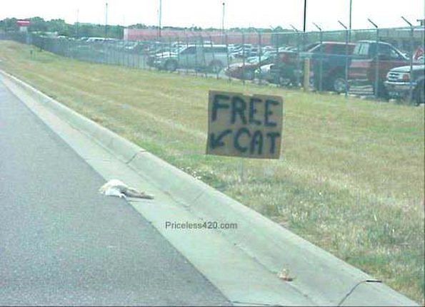free_cat
