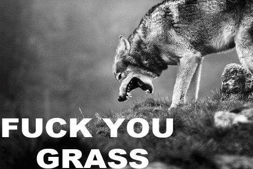 fuck-you-grass