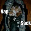 funny-pictures-your-cats-have-a-nap-sack