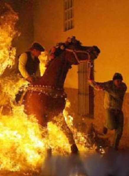 horse_fire