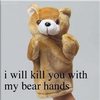 i-will-kill-you-with-my-bear-hands