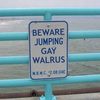 jumping-gay-walrus