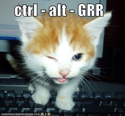 kitten-presses-ctrl-alt-grr