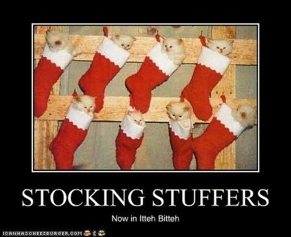 kittens-are-stocking-stuffers