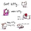 kitty-poem