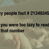 lazy-fact