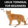 linux-terminal-beginner-cat-head-tail