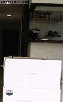 maru-jumping-in-slo-mo
