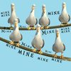 mine-seagull-nemo