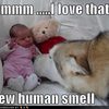 new-human-smell