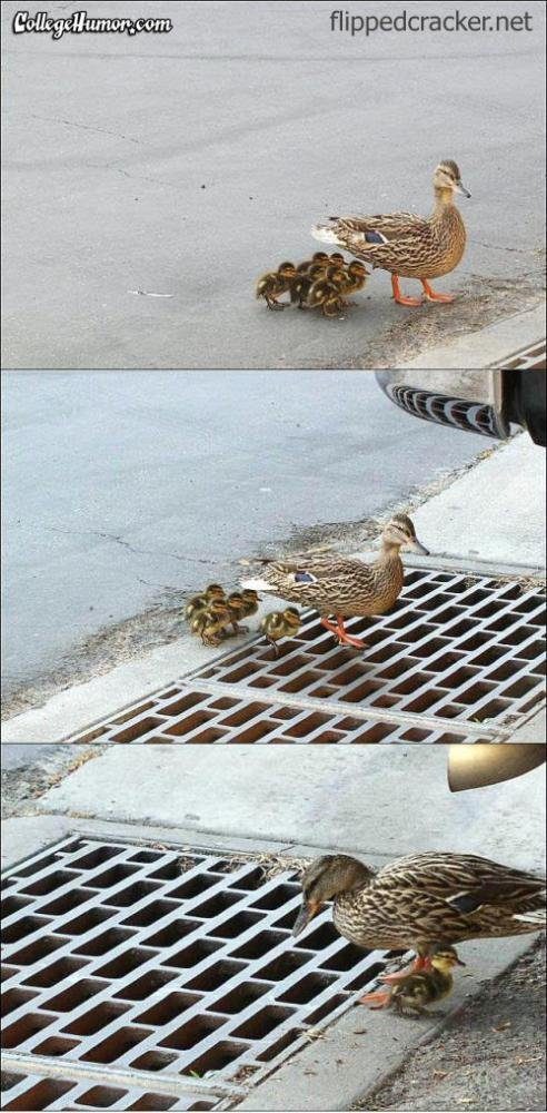 nooooo-