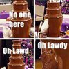 oh-lawdy-chocolate-fountain-parrot