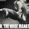 oh_the_huge_manatee