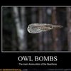 owl-bombs