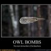 owl-bombs