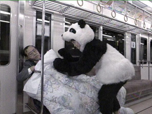 panda-sex-attack