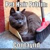 pet-hair-problem-is-contained
