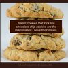 raisin-vs-chocolate-chip-cookies-trust