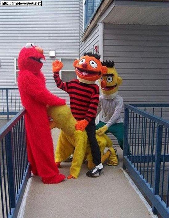 sesame-st-orgy
